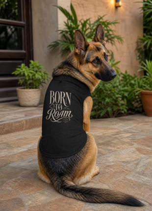 German Shepherd in home courtyard wearing Born to Roam black cotton dog T-shirt with rear graphic visible