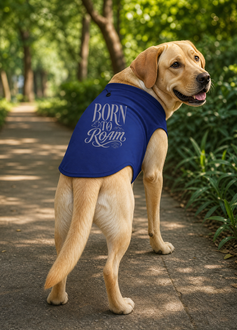 Labrador Retriever on park path wearing Born to Roam royal blue cotton dog T-shirt with rear graphic visible