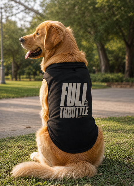 Golden Retriever seated at a park wearing the black PAXBURY Full Throttle dog T-shirt with back print visible