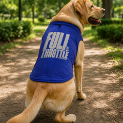 Labrador Retriever outdoors wearing the royal blue PAXBURY Full Throttle dog T-shirt with back print visible