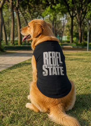 Golden Retriever sitting in park wearing Rebel State black cotton dog T-shirt with back print visible