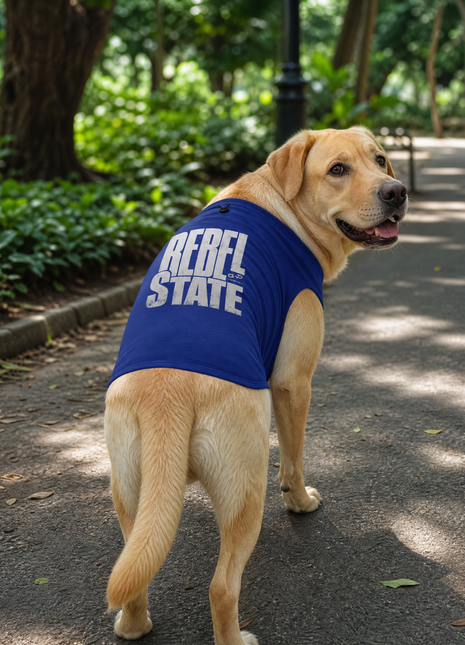 Labrador Retriever standing on leafy path wearing Rebel State royal blue dog T-shirt with back print visible